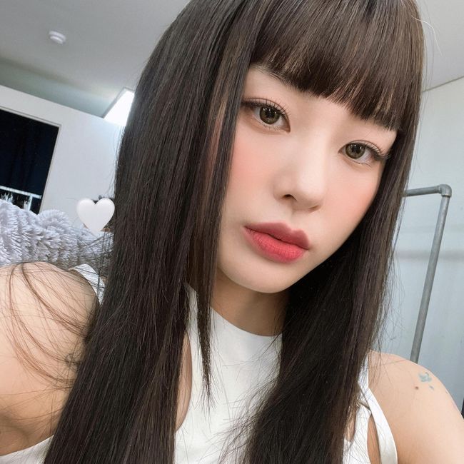 노제 인스타그램