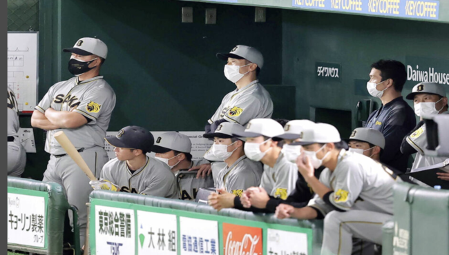 스포니치 홈페이지