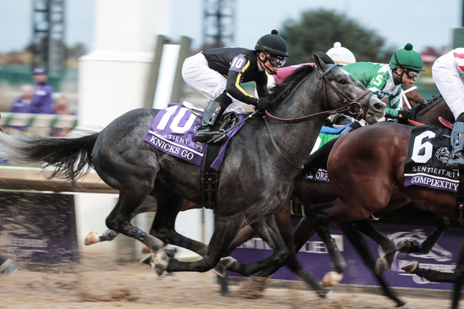 [사진]한국마사회 제공