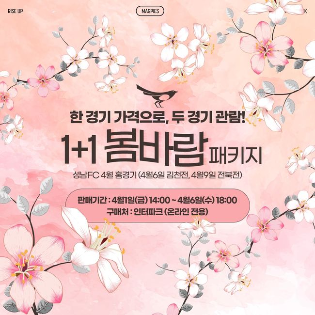 [사진]성남FC 제공