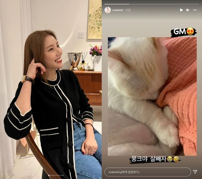 손담비 인스타그램