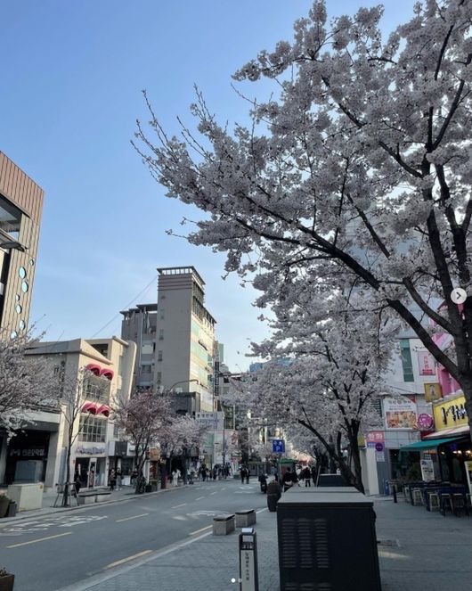 오상진 인스타그램