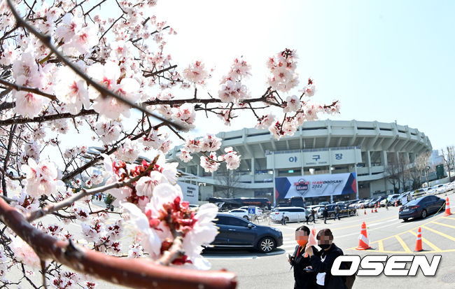 3일 서울 잠실야구장에서 두산 베어스와 한화 이글스의 경기가 열렸다. 잠실야구장 주변으로 벚꽃이 피어 있다. 2022.04.03 /jpnews@osen.co.kr