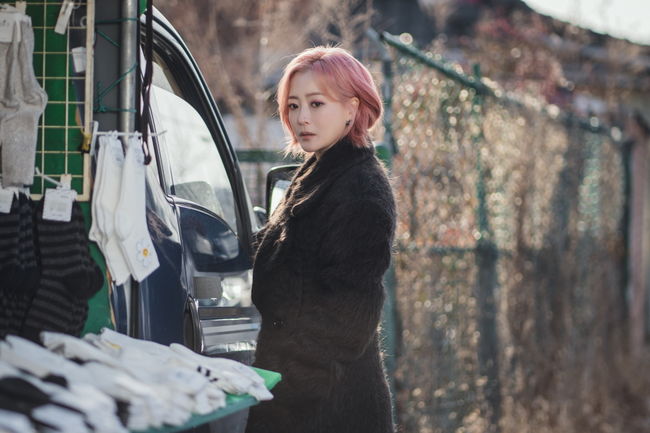 '내일' 제공