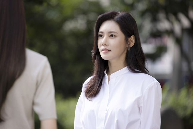 SLL 제공