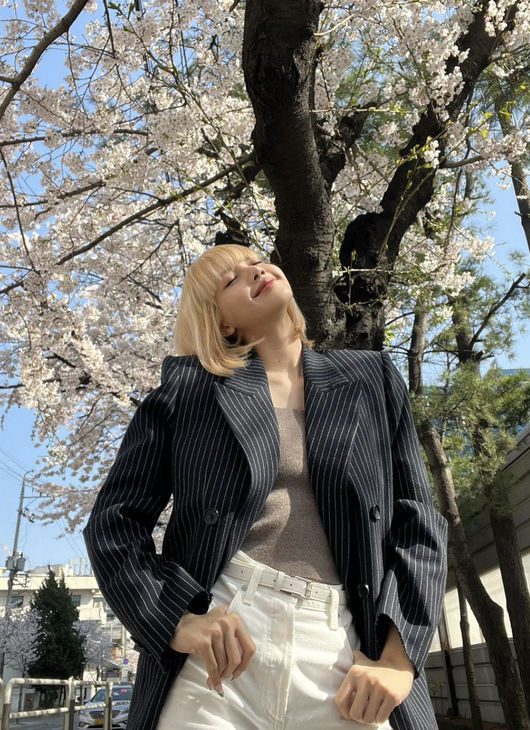 리사 SNS