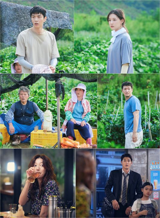 스튜디오피닉스, 초록뱀미디어, SLL 제공