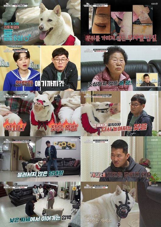 방송화면 캡쳐