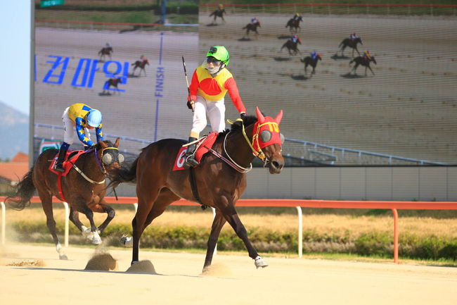 [사진]한국마사회 제고