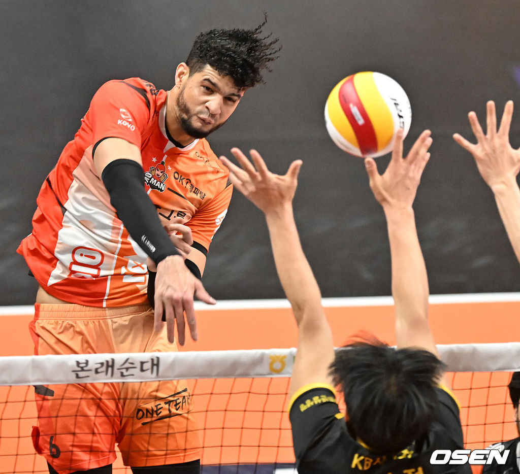 OK금융그룹 레오. /OSEN DB