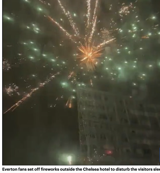 [사진] 데일리 메일 홈페이지 캡처