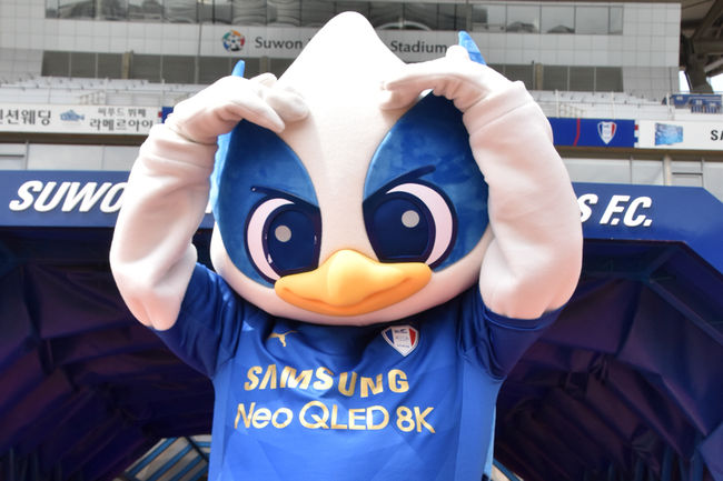 [사진] 수원삼성 제공.