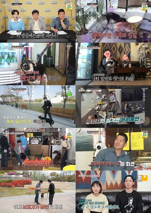 방송화면 캡쳐