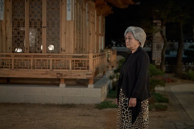 KT스튜디오지니 제공