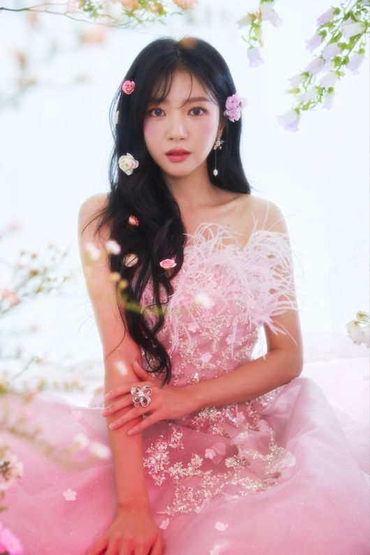 키움 히어로즈 제공