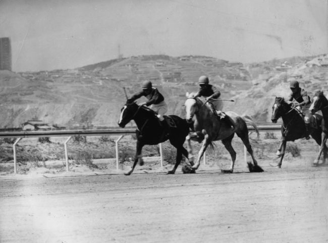 [사진]한국마사회 제공