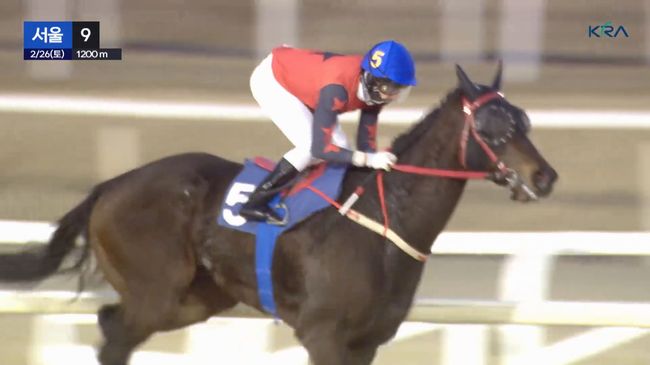 [사진]장산클리어 /한국마사회 제공