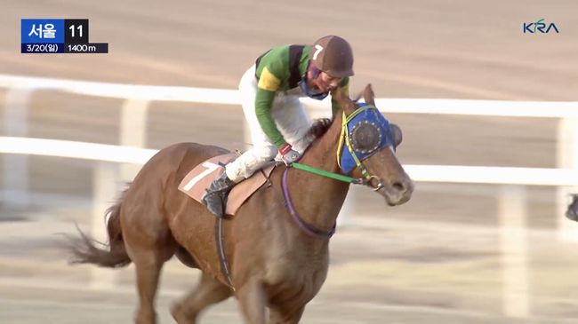 [사진]딕시어게인 /한국마사회 제공