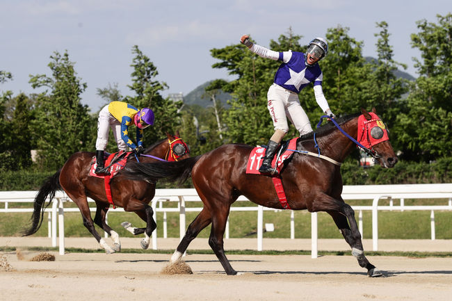 [사진]한국마사회 제공