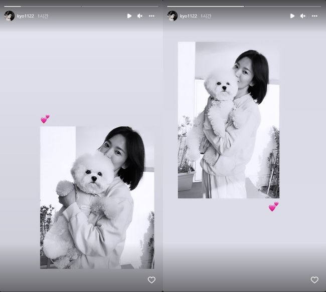 송혜교 인스타그램