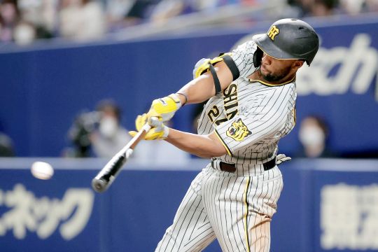 멜 로하스 주니어 /한신 타이거즈 공식 홈페이지