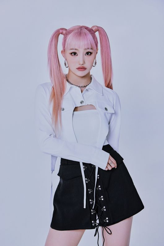 팀 에스에이치이 제공