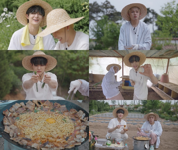 tvN 제공