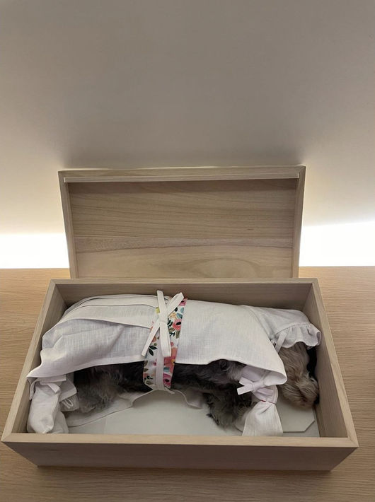 김영희 SNS