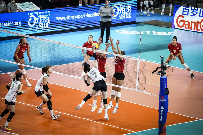 VNL 공식 홈페이지 캡처