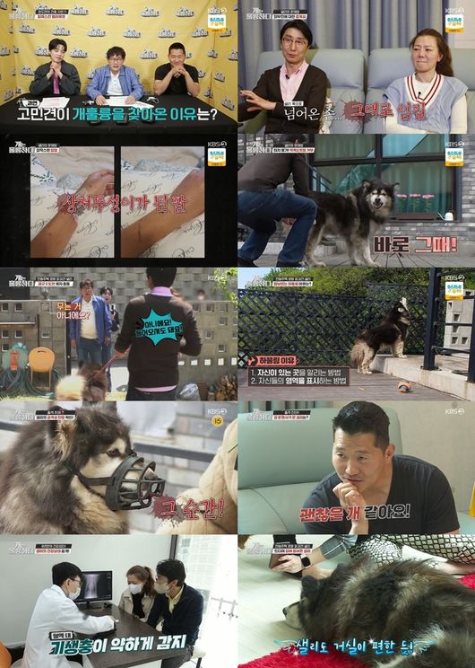 방송화면 캡쳐