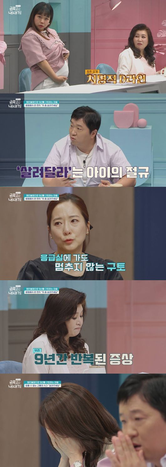채널A 제공