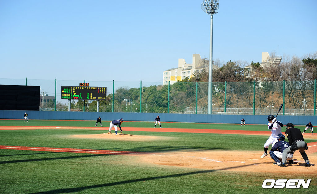 아마야구. /OSEN DB