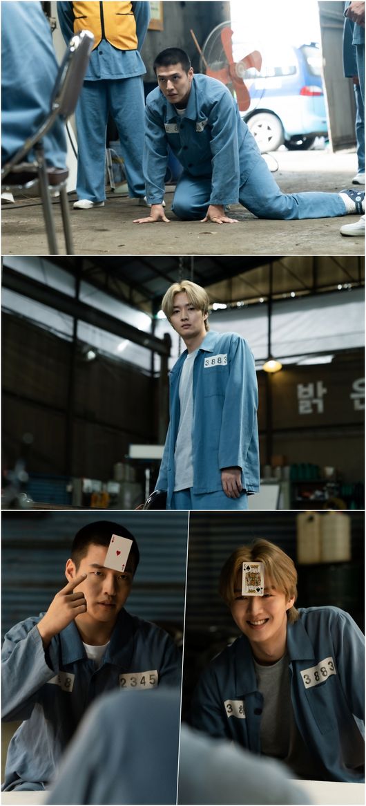 에이스팩토리, SLL 제공