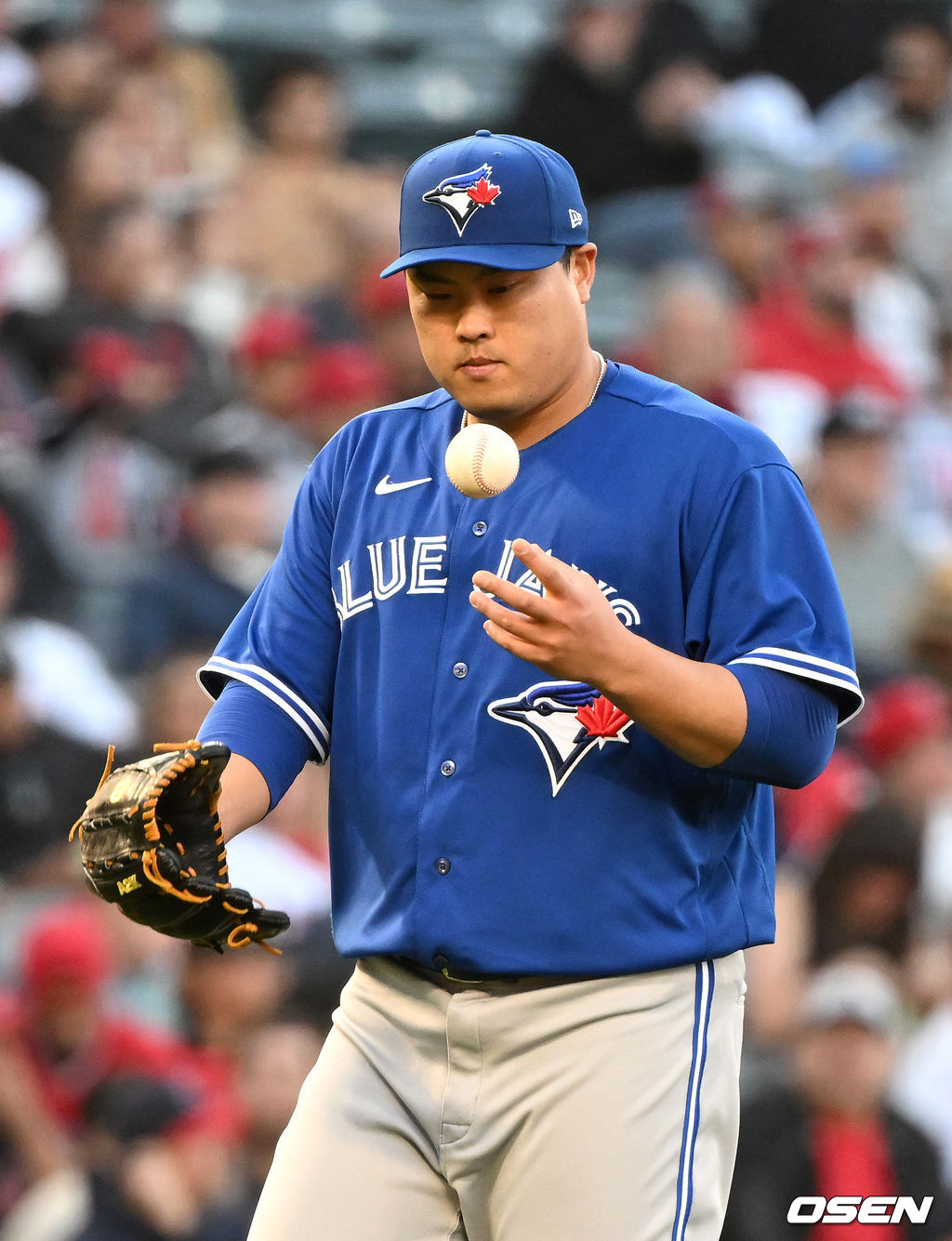 토론토 블루제이스 류현진. /OSEN DB