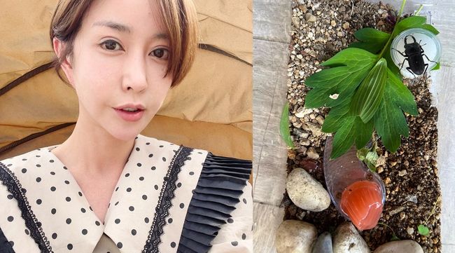 슈 인스타그램