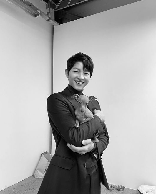 송중기 인스타그램