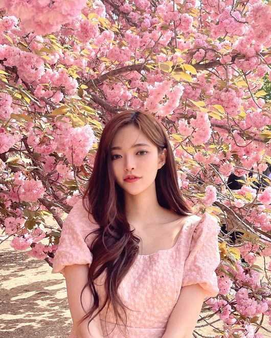 솜이 인스타그램
