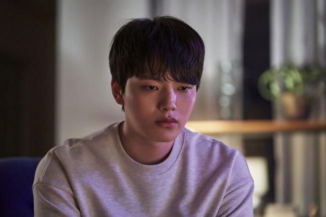 tvN 제공