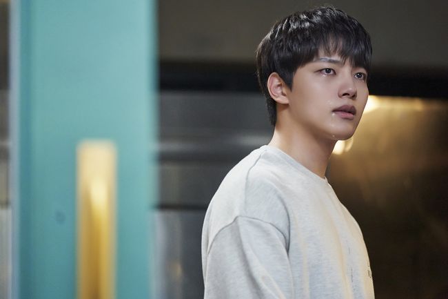tvN 제공