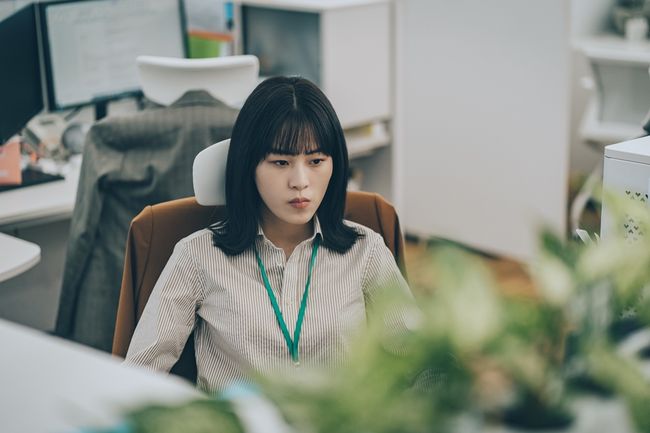 tvN 제공