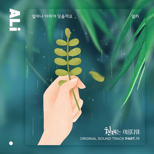 더하기미디어 제공
