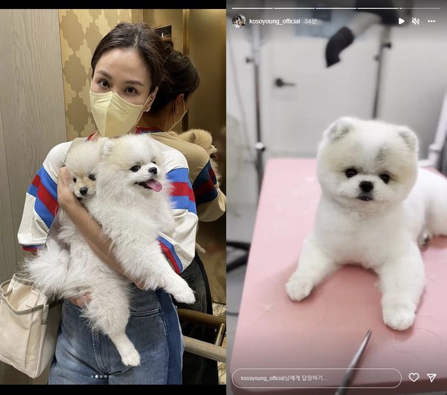 고소영 인스타그램