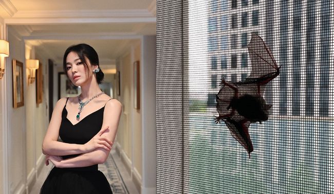 송혜교, 박솔미 인스타그램