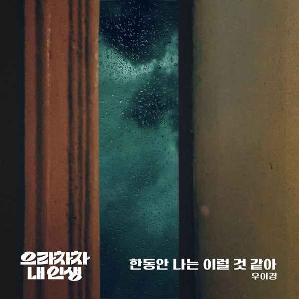 요구르트스튜디오 제공