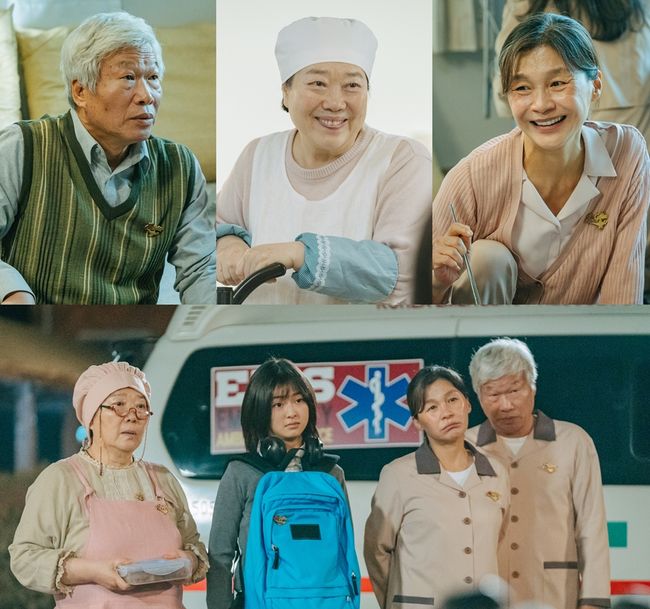 에이앤이 코리아 라이프타임 제공