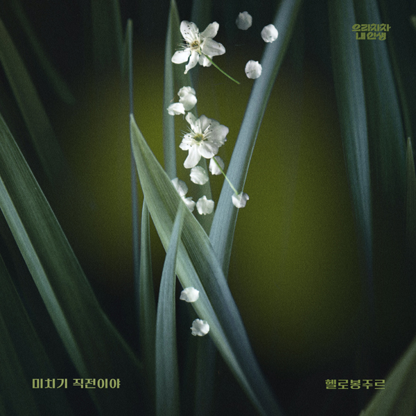 요구르트스튜디오 제공
