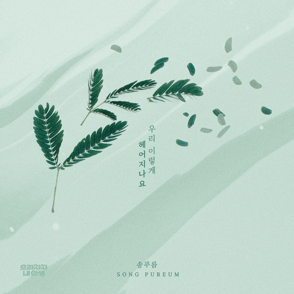 요구르트스튜디오 제공