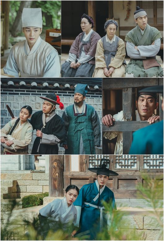 tvN 제공