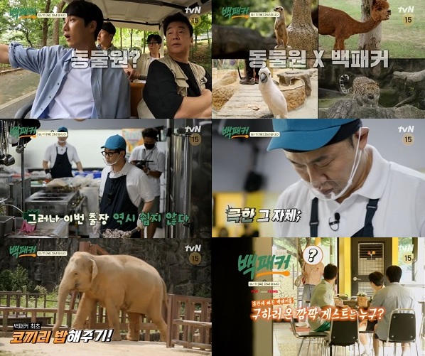 tvN 제공