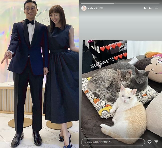 손담비 인스타그램
